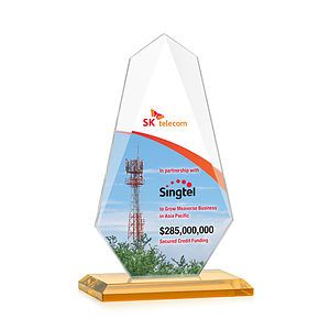 Jemma VividPrint™ Award - Amber