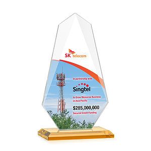 Jemma VividPrint™ Award - Amber