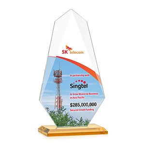 Jemma VividPrint™ Award - Amber