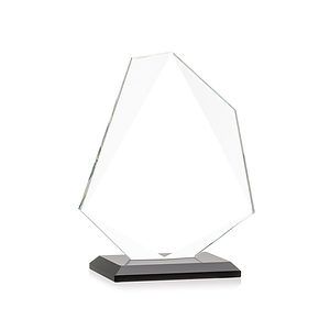 Picton VividPrint™ Award - Black