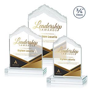 Everest VividPrint™ Award - Starfire