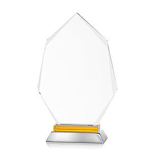 Nebraska VividPrint™ Award - Amber