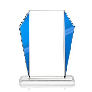 Newbury VividPrint™ Award - Blue