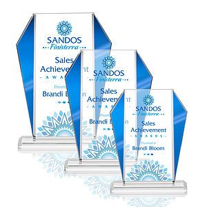 Newbury VividPrint™ Award - Blue
