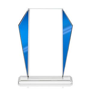 Newbury VividPrint™ Award - Blue