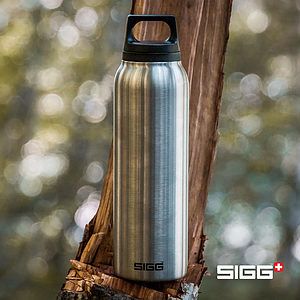 SIGG™ Hot & Cold Bottle - 17oz