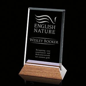 Esten Award - Starfire/Walnut