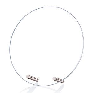 Windsor Circle Award - Chrome
