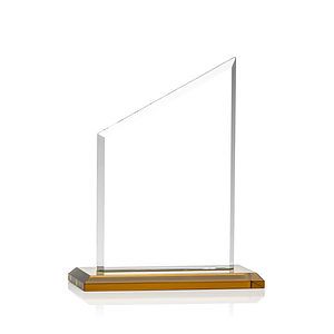 Conacher Award - Amber
