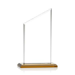 Conacher Award - Amber