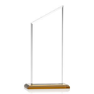 Conacher Award - Amber