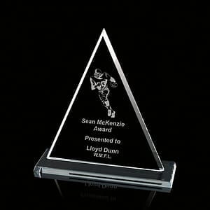 Oxford Award - Starfire