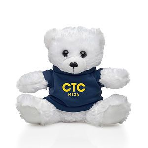Arlo the teddy bear - 6 (t-shirt 