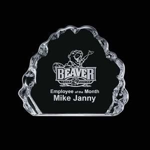 Spence Iceberg Award