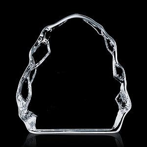 Houston Iceberg Award