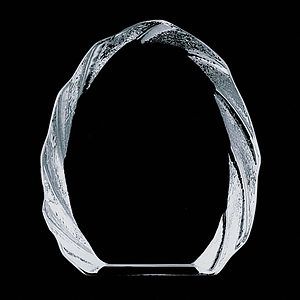 Tottenham Iceberg Award