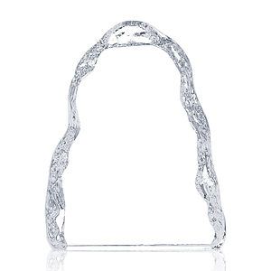 Carling Iceberg VividPrint™ Award