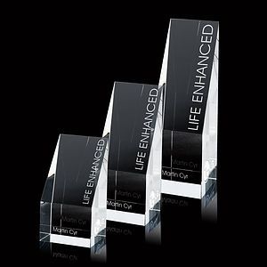 Braxton Award