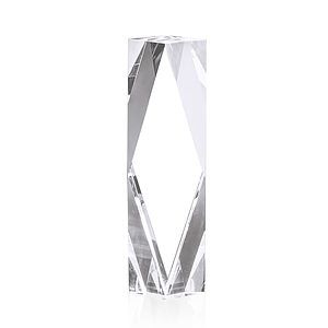 President Award