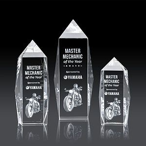 Bloomington Award 3D
