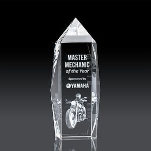 Bloomington Award 3D