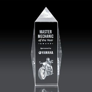 Bloomington Award 3D