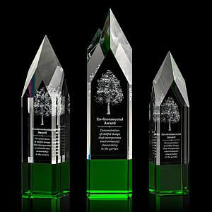 Coventry 3D Award - Green 