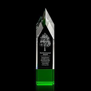 Coventry 3D Award - Green 