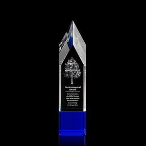 Coventry 3D Award - Blue