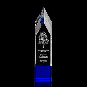 Coventry 3D Award - Blue