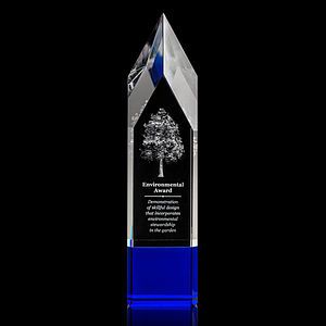 Coventry 3D Award - Blue