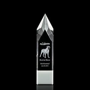 Coventry 3D Award - White