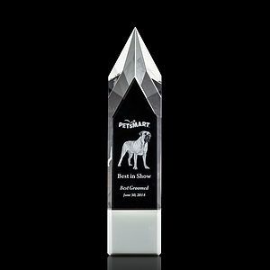 Coventry 3D Award - White