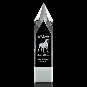 Coventry 3D Award - White