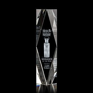 President 3D Award 