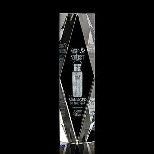 President 3D Award 