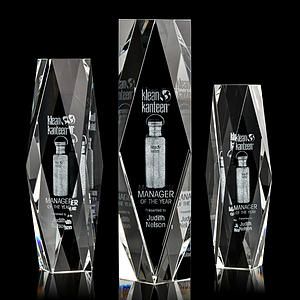 President 3D Award 