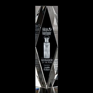 President 3D Award 