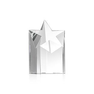 Berkeley Star Tower Award