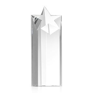 Berkeley Star Tower Award