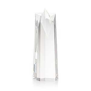 Ellesmere Star Obelisk Award