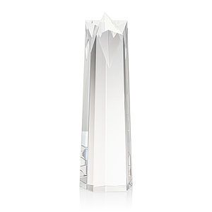 Ellesmere Star Obelisk Award