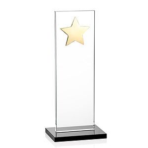 Dallas Star Award - Black/Gold