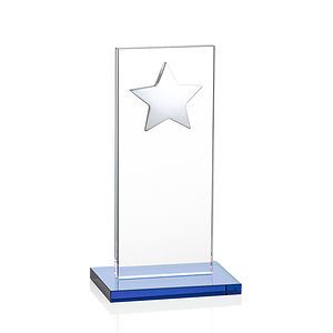 Dallas Star Award - Sky Blue/Silver