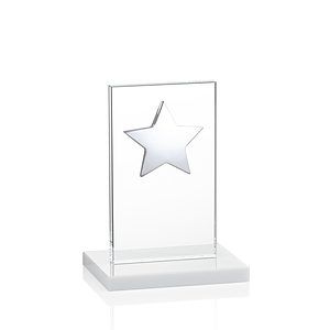 Dallas Star Award - White/Silver