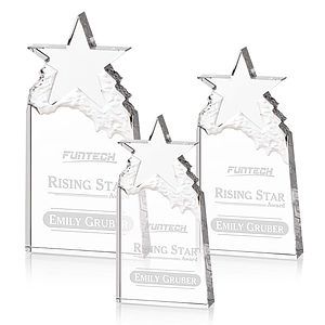 Augustine Award