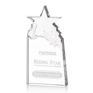 Augustine Award
