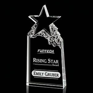 Augustine Award