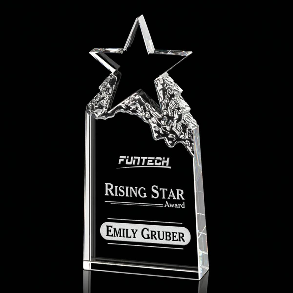Augustine Award