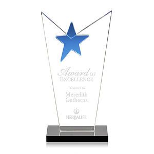 McKinley Star Award 